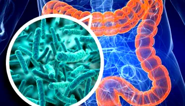 microbiot