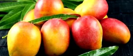 mango mănânci