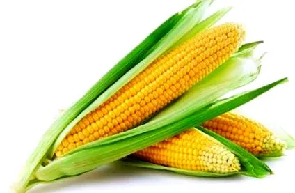 colesterol