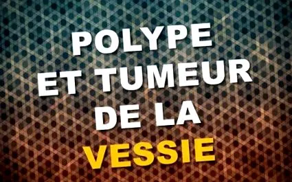 hólyagpolip