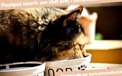 miért miért