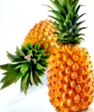 psoriazisul limbaj