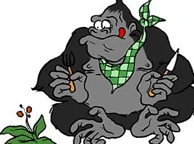 gorilla