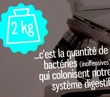 intestinele noastre