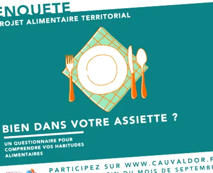 proiect
