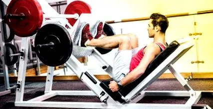 ergysport
