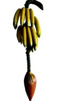 decorative