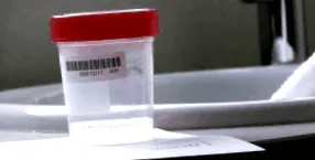 sperma