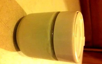 Házi joghurt