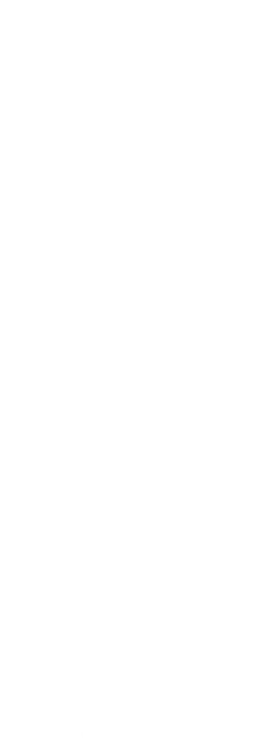 salariului