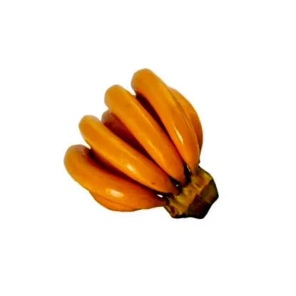 buchet monde