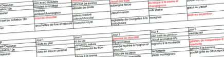 program karcsúsító