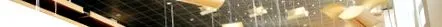 regulile