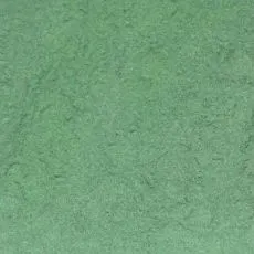 spirulina