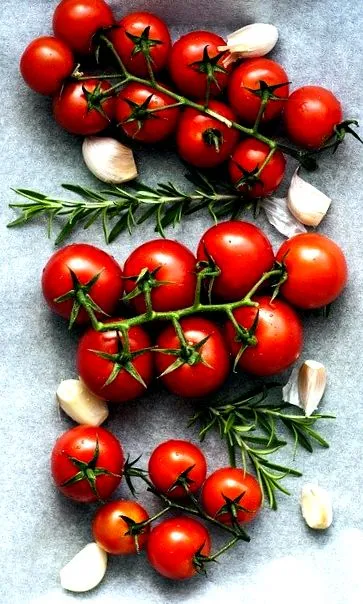 diet