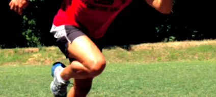 sectoare