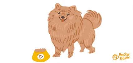 spitz
