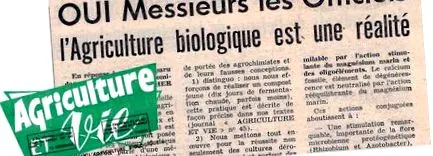 linéaires