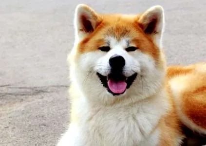 характер