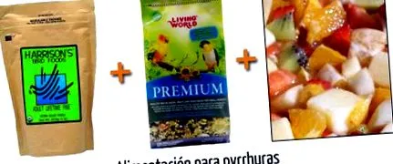 іменем піррури