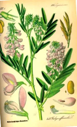toxicitatea