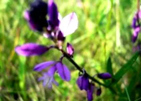 magg konyhasarok