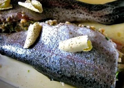dietă