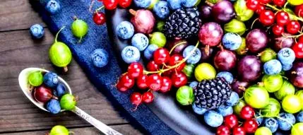 antioxidanți dietă