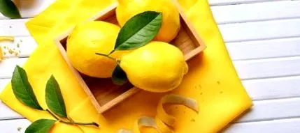citrom Citrus