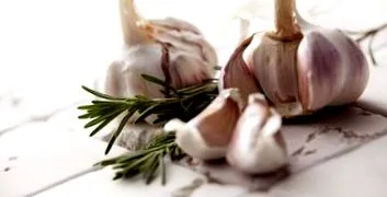 fokhagyma