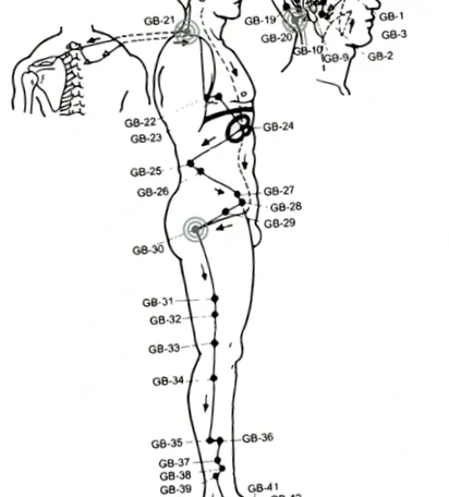 arcturius ayurveda