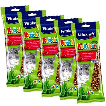 chinchilla