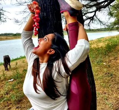 ayurveda