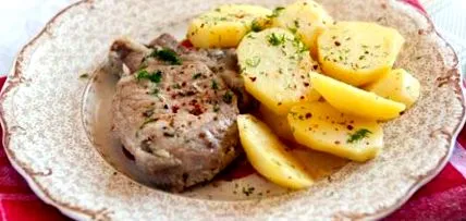 thermomix feluri
