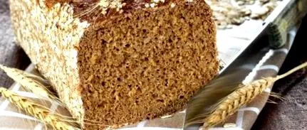 vollkornbrot blog