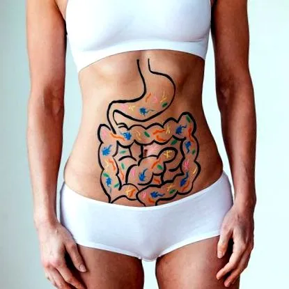 metabolismul
