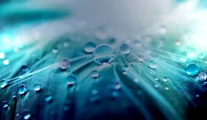 hydrachim