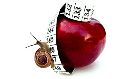 metabolismul metabolismul încetinește