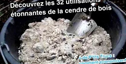 surprinzătoare utilizări