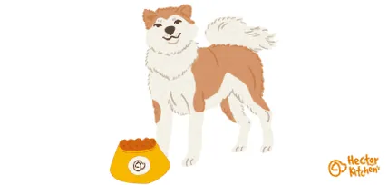 élelmiszer akita