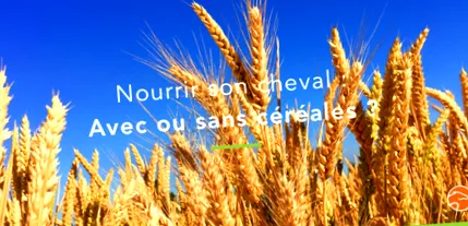cereale