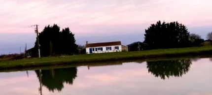 sugerăm