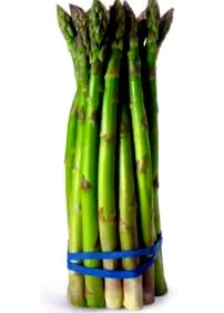 officinalis