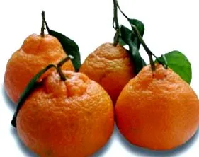 narancs hibridje