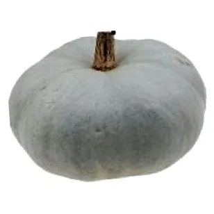 magyar