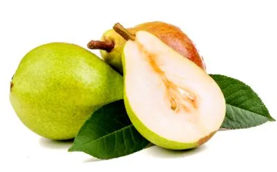sütik amelyek