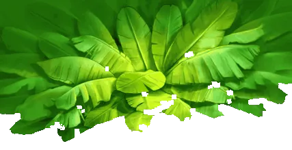 раста