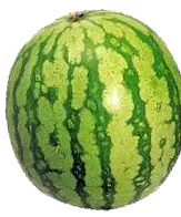 görögdinnye létezik