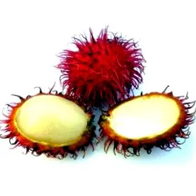 rambutan