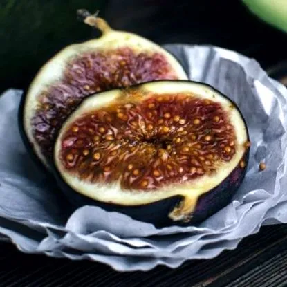 alimentar